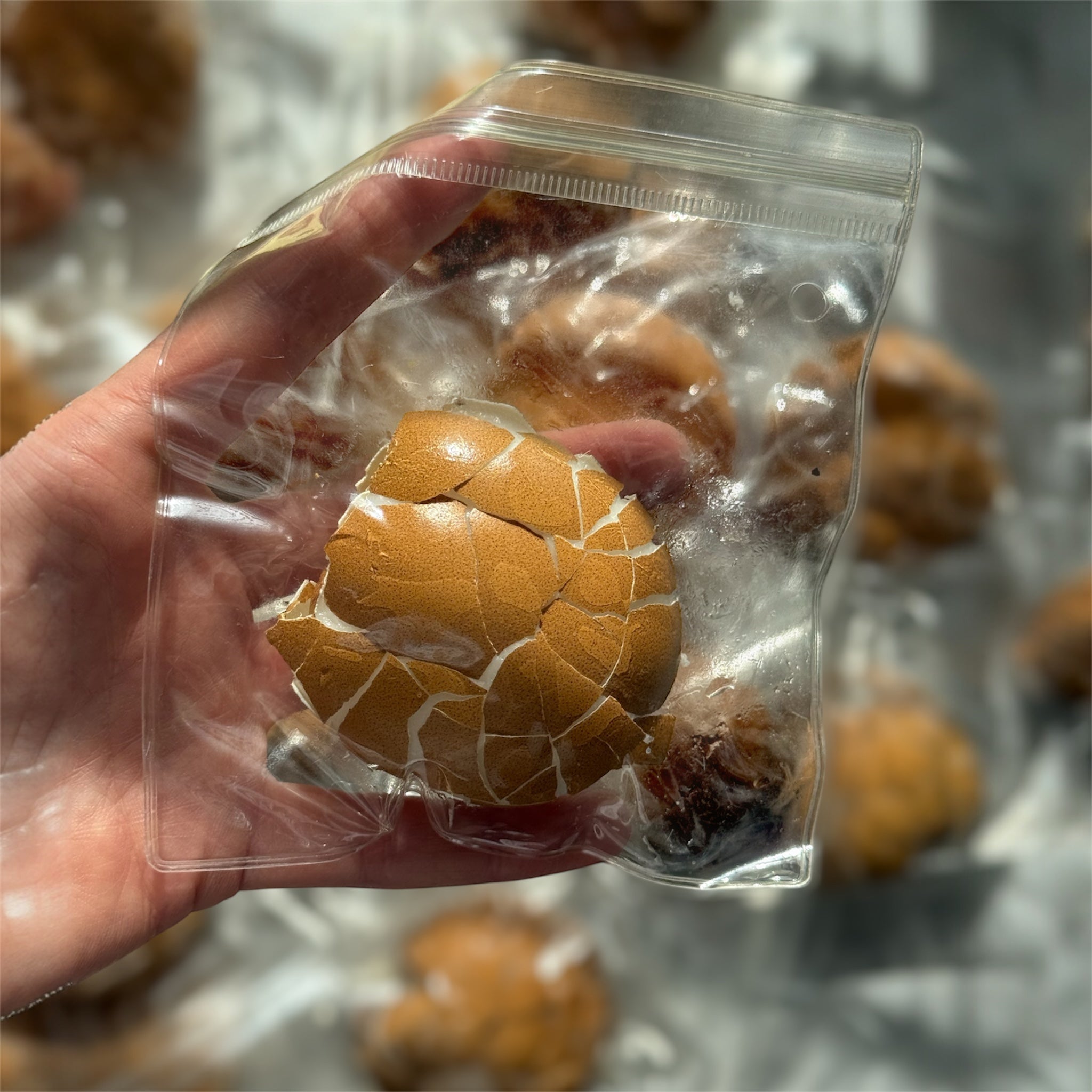 Cracked Egg Silicone Squishy