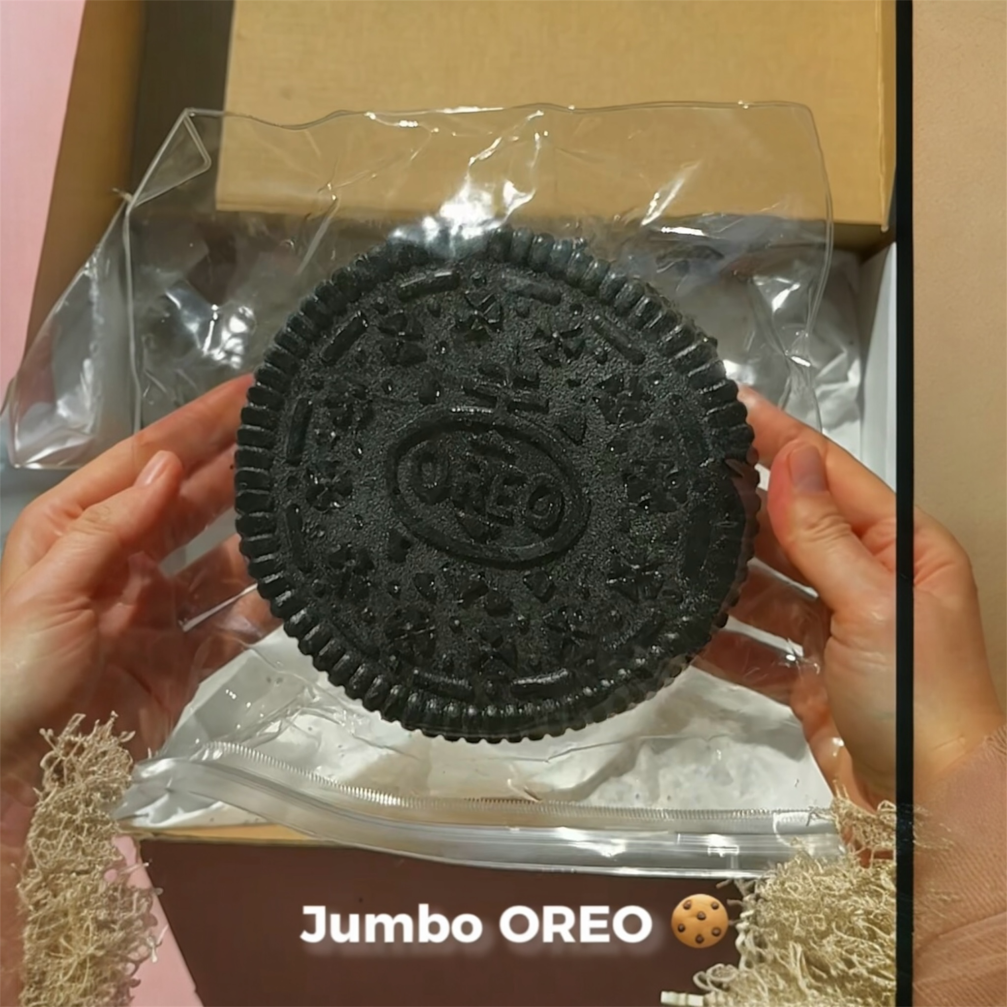 Jumbo Oreo Sticky Squishy