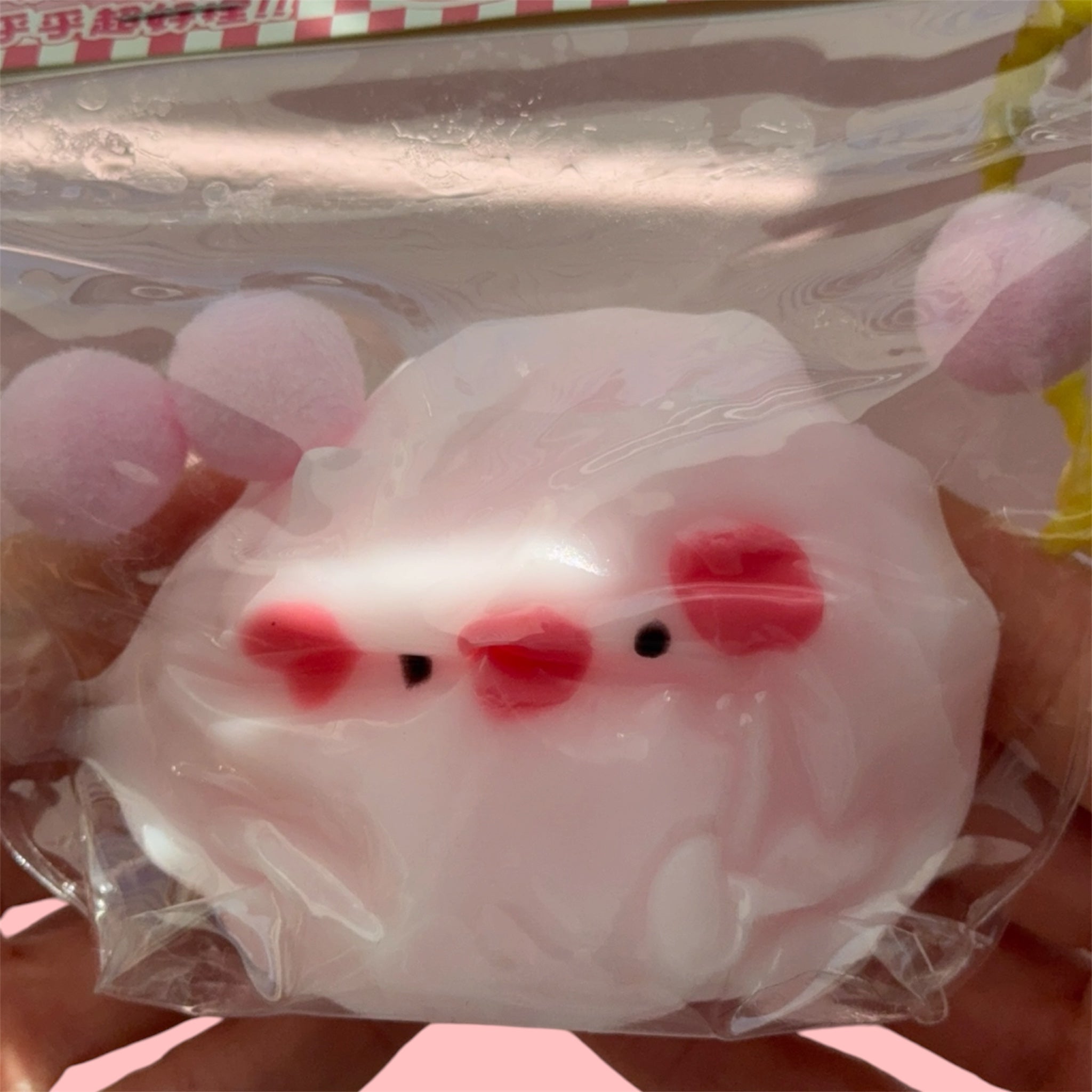 Cute PIG Squishy